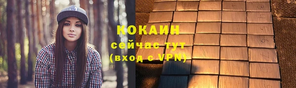 шишки Вяземский
