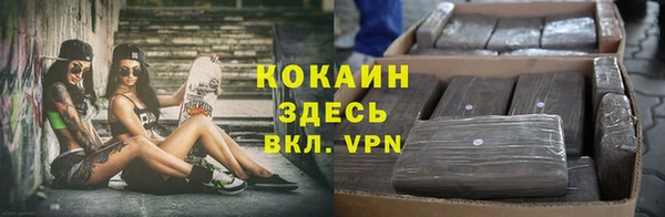 шишки Вяземский