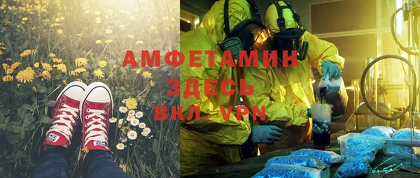шишки Вяземский
